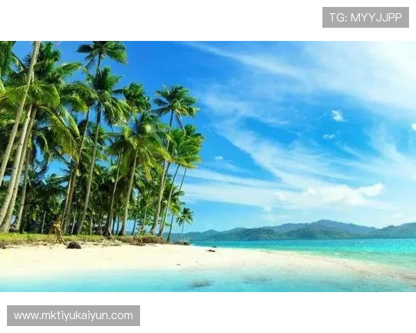 开云体盲的全面解析：什么是开云体盲以及如何有效识别和应对